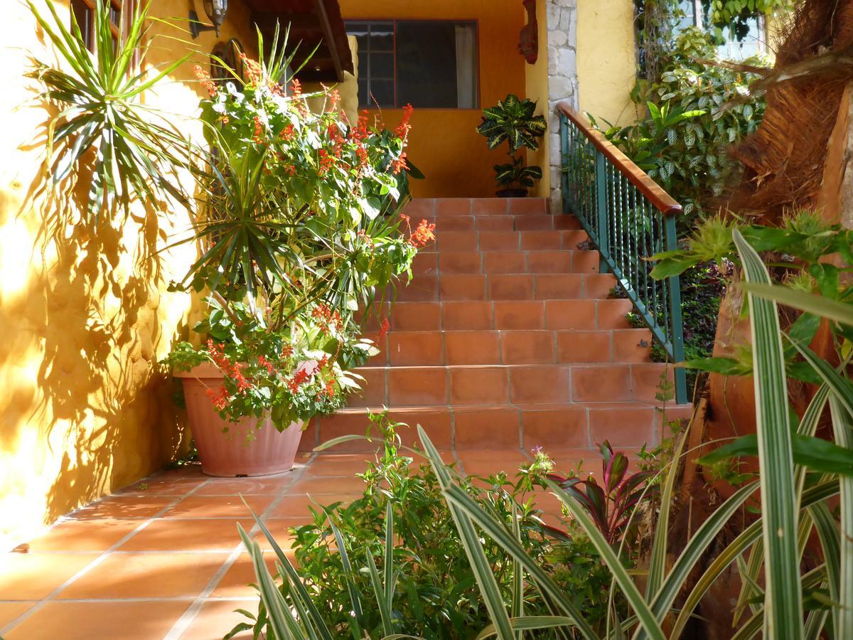 The Golden Frog Inn El Valle de Anton Exterior foto