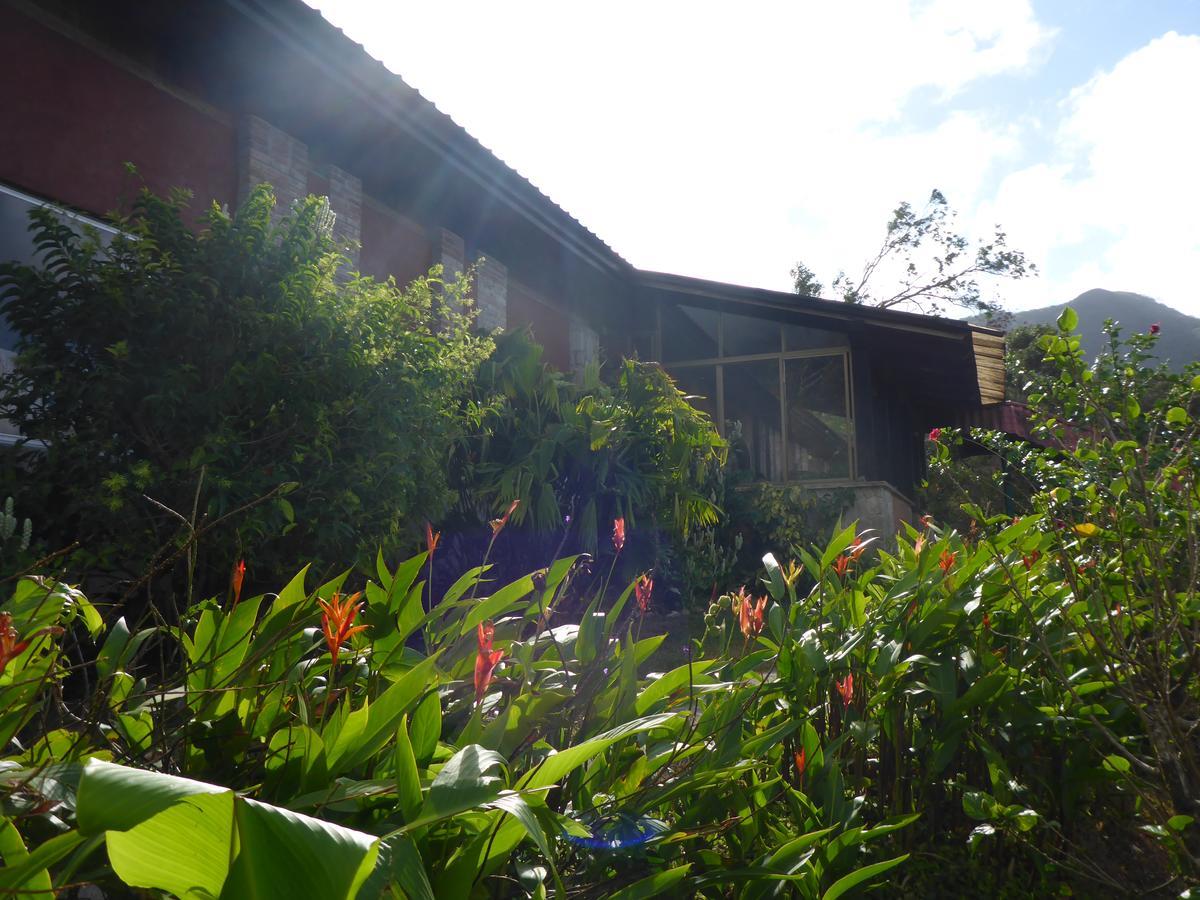 The Golden Frog Inn El Valle de Anton Exterior foto